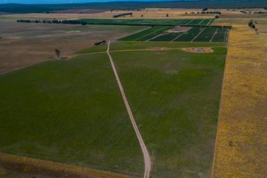 Mixed Farming For Sale - VIC - Rosedale - 3847 - PRODUCTIVE MIXED FARMING ASSET (Image 2)