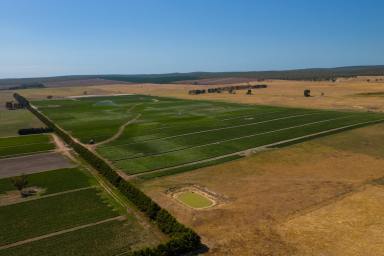 Mixed Farming For Sale - VIC - Rosedale - 3847 - PRODUCTIVE MIXED FARMING ASSET  (Image 2)