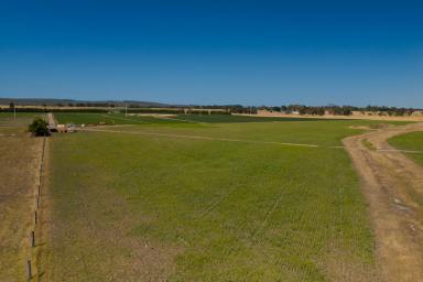 Mixed Farming For Sale - VIC - Rosedale - 3847 - PRODUCTIVE MIXED FARMING ASSET (Image 2)