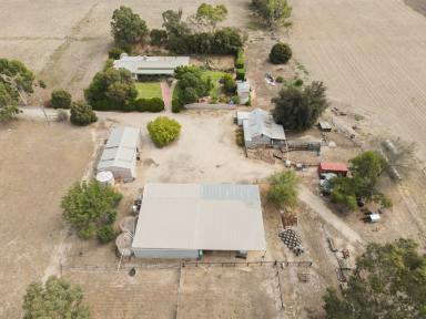 Mixed Farming For Sale - VIC - Murrabit - 3579 - Easy Walk to the Murray River  (Image 2)