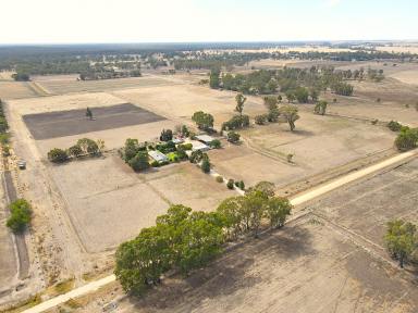 Mixed Farming For Sale - VIC - Murrabit - 3579 - Easy Walk to the Murray River (Image 2)