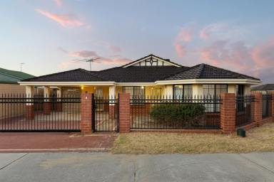 House For Sale - WA - Alexander Heights - 6064 - Parkside Beauty – Spacious 4x2 on 600sqm corner block! (Image 2)
