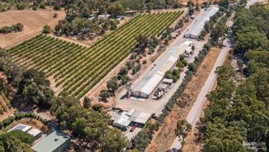 Other (Rural) For Sale - SA - McLaren Flat - 5171 - Wishborn Farm – McLaren Flat  (Image 2)