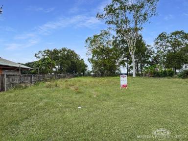 Residential Block Sold - QLD - Mareeba - 4880 - LARGE, FLEXIBLE BLOCK IN QUIET CUL-DE-SAC – NO COVENANTS, ENDLESS POTENTIAL  (Image 2)