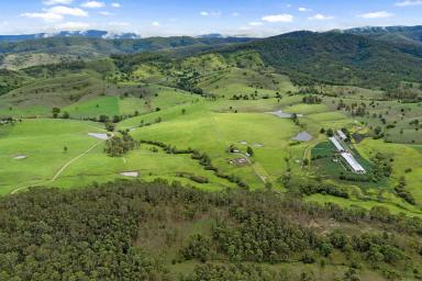 Other (Rural) For Sale - NSW - Wards River - 2422 - PRIME AGRICULTURAL LAND  (Image 2)