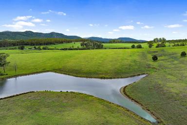 Other (Rural) For Sale - NSW - Wards River - 2422 - PRIME AGRICULTURAL LAND  (Image 2)