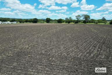 Residential Block For Sale - QLD - Laidley - 4341 - 8.91 Acres - 2 titles  (Image 2)
