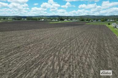 Residential Block For Sale - QLD - Laidley - 4341 - 8.91 Acres - 2 titles  (Image 2)