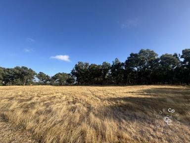 Lifestyle For Sale - SA - Mount Pleasant - 5235 - A hills lifestyle awaits  (Image 2)