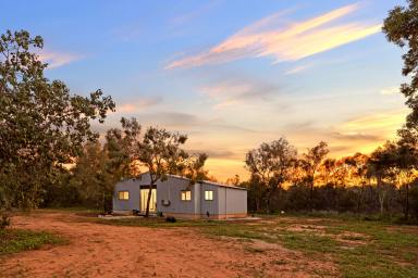 House For Sale - WA - Roebuck - 6725 - Private 2ha Rural Retreat Offering Endless Potential  (Image 2)