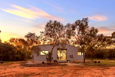 House For Sale - WA - Roebuck - 6725 - Private 2ha Rural Retreat Offering Endless Potential  (Image 2)