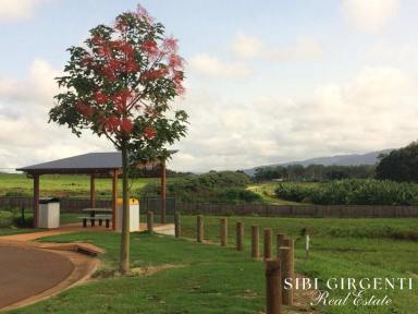 House For Sale - QLD - Atherton - 4883 - MAKE THIS MODERN HOME YOUR VERY OWN  (Image 2)