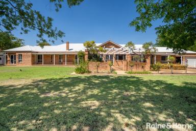 House For Lease - NSW - Lake Albert - 2650 - Acreage with development potential  (Image 2)