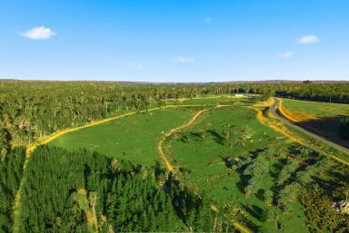 Lifestyle For Sale - WA - Nannup - 6275 - Where the Forest Meets the Horizon  (Image 2)