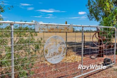 Cropping For Sale - VIC - Ballendella - 3561 - Your Dream Country Lifestyle Awaits!  (Image 2)