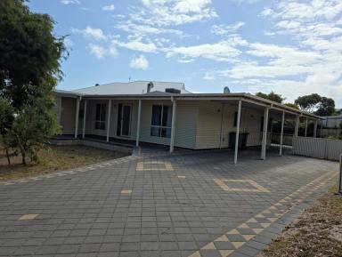 House For Lease - WA - Hopetoun - 6348 - Space for the family and the toys  (Image 2)