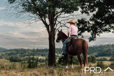 Lifestyle For Sale - NSW - Wiangaree - 2474 - Ideal Hobby Farm Lot with Panoramic Views  (Image 2)