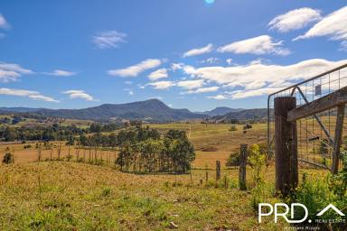 Lifestyle For Sale - NSW - Wiangaree - 2474 - Ideal Hobby Farm Lot with Panoramic Views  (Image 2)