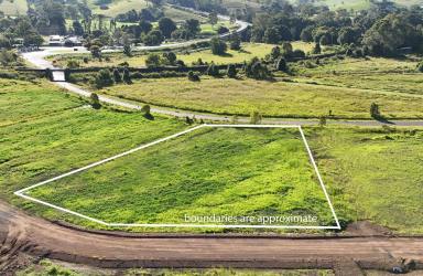 Residential Block For Sale - NSW - Wiangaree - 2474 - Affordable, Easy-Build 1.2 Acre Block  (Image 2)