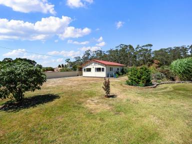 House For Sale - TAS - Tarleton - 7310 - Lifestyle Living with Space, Comfort & Self-Sufficiency  (Image 2)