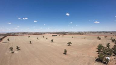 Cropping For Sale - NSW - Bribbaree - 2594 - FOR SALE BY EXPRESSION OF INTEREST  (Image 2)