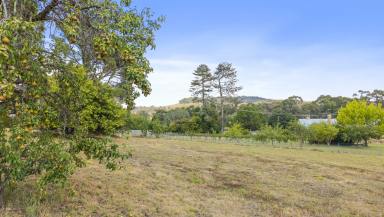 Residential Block For Sale - NSW - Lidsdale - 2790 - Space to Dream, Room to Breathe (Image 2)