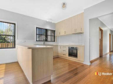 House Sold - TAS - Sheffield - 7306 - Keep The Ball Roland  (Image 2)