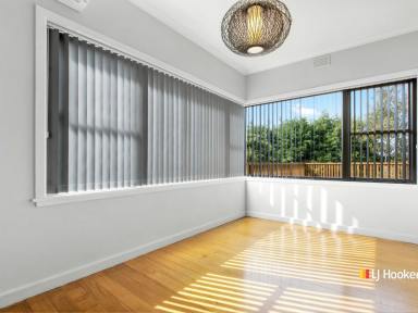 House Sold - TAS - Sheffield - 7306 - Keep The Ball Roland  (Image 2)