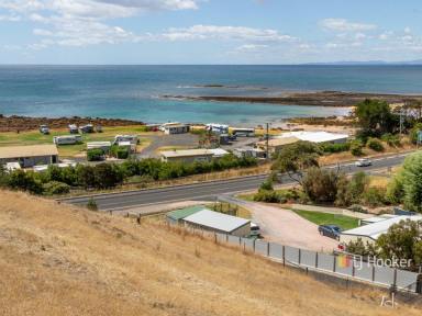 Residential Block For Sale - TAS - Penguin - 7316 - LOCATION LOCATION LOCATION  (Image 2)