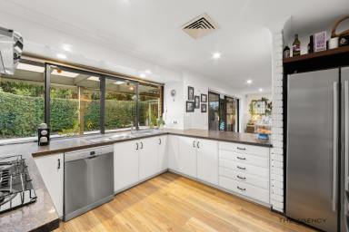 House For Sale - WA - Booragoon - 6154 - Perfect Family Oasis  (Image 2)