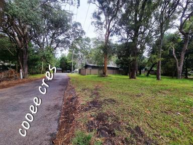 Residential Block For Sale - QLD - Macleay Island - 4184 - Build your island Dream Home - 688m2 in a quiet Leafy Street - 20.1m Frontage  (Image 2)