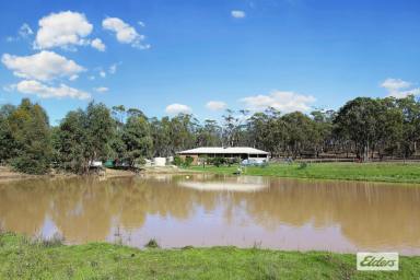 Acreage/Semi-rural For Sale - VIC - Heathcote - 3523 - LARGE COUNTRY HOME ON  42 ACRES  (Image 2)