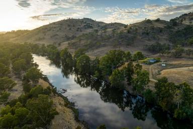 Other (Rural) For Sale - NSW - Jugiong - 2726 - MURRUMBIDGEE RIVER RETREAT  (Image 2)