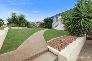 House For Sale - NSW - Tamworth - 2340 - 4 Bedroom House for Sale Tamworth  (Image 2)