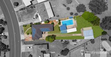 House For Sale - NSW - Hillvue - 2340 - 4 Bedroom House for Sale Tamworth  (Image 2)