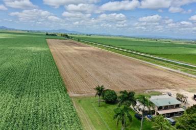 Other (Rural) For Sale - QLD - Mona Park - 4807 - Premium Burdekin Farm - Houses - Sheds - Machinery - Crop  (Image 2)
