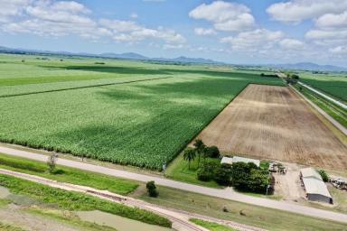 Other (Rural) For Sale - QLD - Mona Park - 4807 - Premium Burdekin Farm - Houses - Sheds - Machinery - Crop  (Image 2)