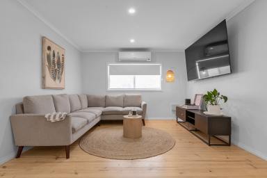 House For Sale - VIC - Red Cliffs - 3496 - Immaculate Home. Expansive Block. Endless Potential.  (Image 2)