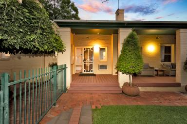 House Auction - VIC - Mildura - 3500 - Character Home with Immaculate Gardens  (Image 2)