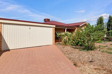 House For Sale - VIC - Red Cliffs - 3496 - Ideal First Home or Investment in Established Location  (Image 2)