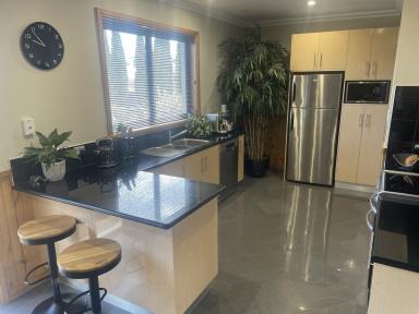 House For Sale - TAS - Newnham - 7248 - Immaculate Family Living - Newnham  (Image 2)