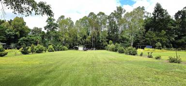 Residential Block For Sale - QLD - Carruchan - 4816 - 1.17 Acres with Creek Frontage in Beautiful Kennedy Valley – Close to Cardwell & Port Hinchinbrook Marina (Image 2)