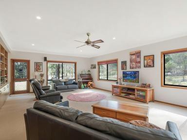Acreage/Semi-rural Sold - NSW - Bega - 2550 - LIFESTYLE ACREAGE CLOSE TO TOWN, SURROUNDED BY NATURE  (Image 2)