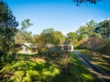 Acreage/Semi-rural Sold - NSW - Bega - 2550 - LIFESTYLE ACREAGE CLOSE TO TOWN, SURROUNDED BY NATURE  (Image 2)