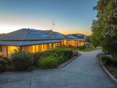 Acreage/Semi-rural For Sale - QLD - Coolabine - 4574 - Sunset Ranch  (Image 2)