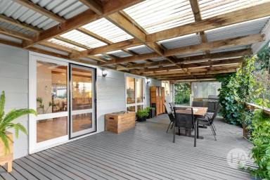 Lifestyle For Sale - VIC - Buffalo - 3958 - Timeless Charm with Modern Comfort and Room to Roam (Image 2)