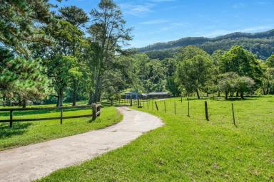Lifestyle For Sale - NSW - Wattamolla - 2535 - Off-grid living on Brogers Creek (Image 2)