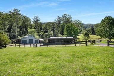 Lifestyle For Sale - NSW - Wattamolla - 2535 - Off-grid living on Brogers Creek  (Image 2)