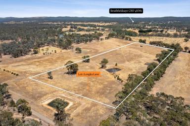 Residential Block For Sale - VIC - Longlea - 3551 - Exclusive Strathfieldsaye Rural Living Land Release  (Image 2)