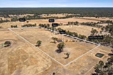 Residential Block For Sale - VIC - Longlea - 3551 - Exclusive Strathfieldsaye Rural Living Land Release  (Image 2)